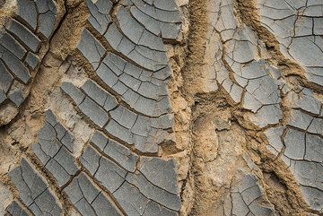 Perfect surface textures can be admired at these bombs. (Photo: Tom Pfeiffer)