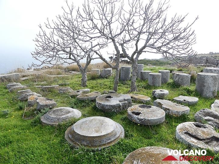 Fig trees and pilar remnants at the archaeological site of Ancient Thera. (Photo: Ingrid Smet)