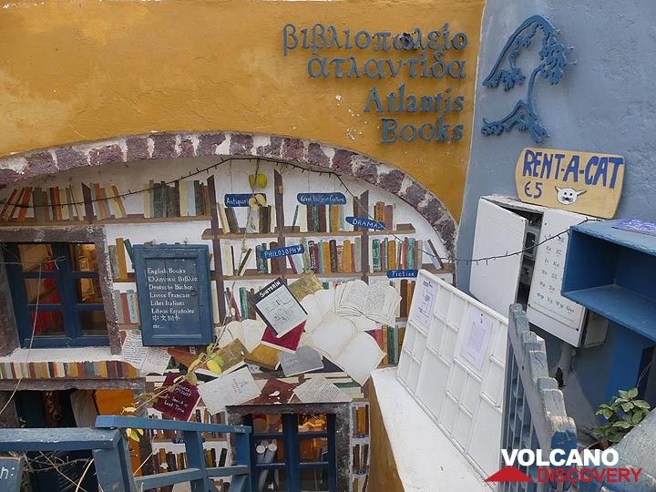 Colourful book shop and cat rental in Oia. (Photo: Ingrid Smet)