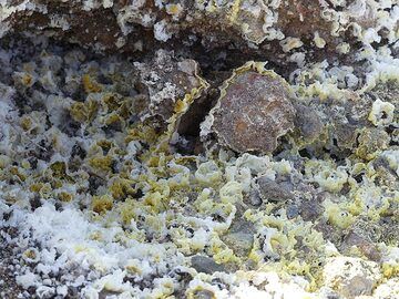 Aktiv entgasende Fumarolen erzeugen zarte Mineralstrukturen aus gelbem Schwefel und weißen Gipskristallen. (Photo: Ingrid Smet)