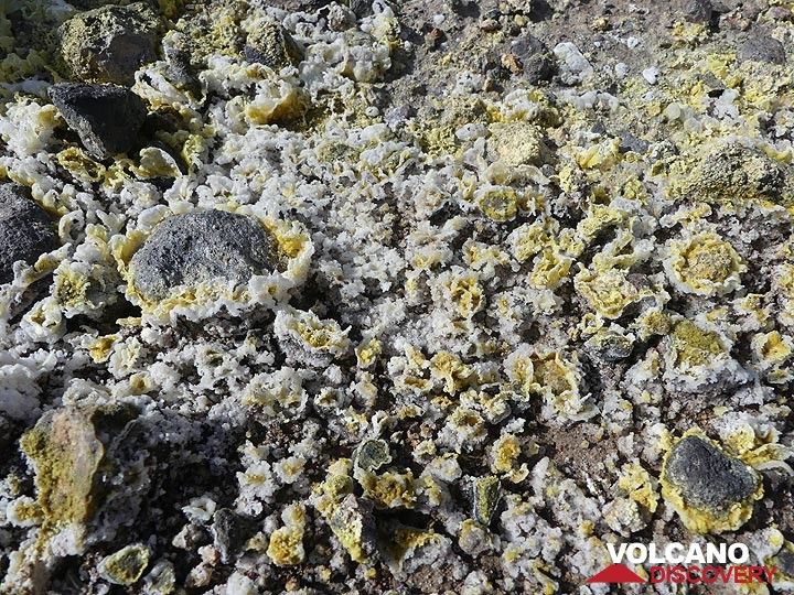 The ground and pebbles are covered by intricate sulphur and gypsum mineralisations that deposited from the volcanic gasses. (Photo: Ingrid Smet)