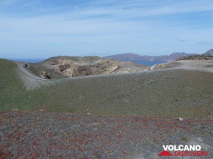 L'hiver à Nea Kameni : de petites plantes vertes et rouges recouvrent les sols volcaniques meubles autour des cratères centraux. (Photo: Ingrid Smet)