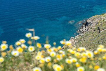 Vue sur la caldeira (Photo: Tom Pfeiffer)