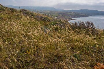 Wie so oft, wenn der Wind aus südlichen Richtungen weht, ist es morgens noch bewölkt. (Photo: Tom Pfeiffer)