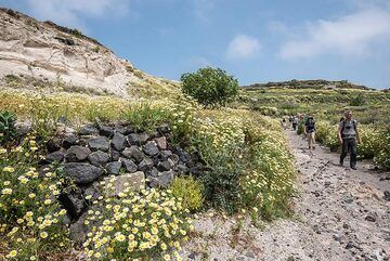 Der Weg führt durch eine weite Bimssteinschlucht. (Photo: Tom Pfeiffer)