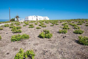 A trail passes vineyards and villas on the caldera rim. (Photo: Tom Pfeiffer)