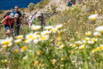 Continuing along the caldera... (Photo: Tom Pfeiffer)