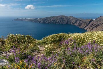 View of the northern caldera basin. (c)