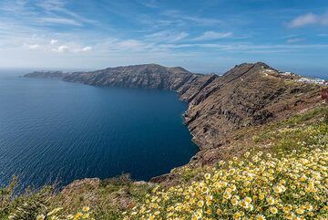 View of the northern caldera basin with a meadow of daisies in front. (c)