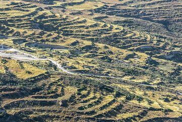 Terraced fields in northern Santorini (Photo: Tom Pfeiffer)