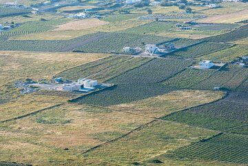 Fields near Oia (Photo: Tom Pfeiffer)