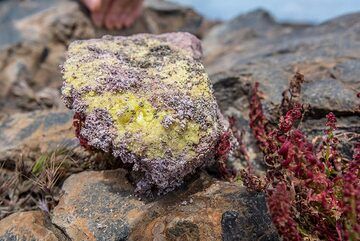 Sulphur crystals formed by sublimation in the ground. (Photo: Tom Pfeiffer)