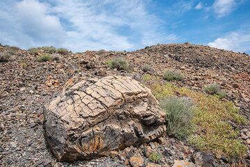 The most beautiful breadcrust bomb on Nea Kameni. (Photo: Tom Pfeiffer)