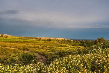 The coast is now near, as we reach the area of the archeological excavation bathed in evening sunlight under a purple cloudy sky: in front of us, beneath approx. 10 m of pumice ash are the buried ruins of the prehistoric town. (Photo: Tom Pfeiffer)