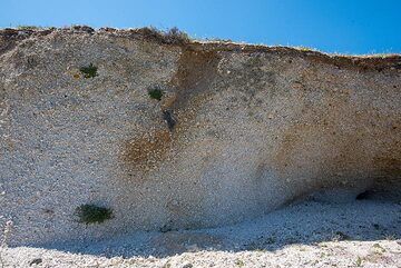 An flacheren Teilen des Berges ist noch die etwa 5 m dicke minoische Bimssteinfallablagerung erhalten. Hier ist eine ballistische Wirkung darin zu erkennen. (Photo: Tom Pfeiffer)