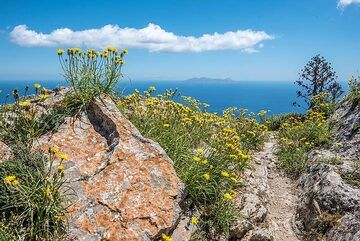 The blue sea is everywhere about 500 m beneath us. (Photo: Tom Pfeiffer)