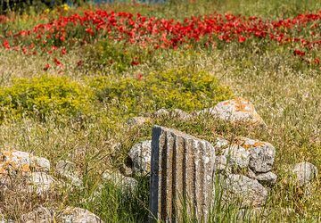 Ancient column (Photo: Tom Pfeiffer)