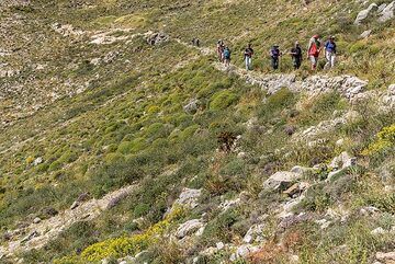 Group walking on the beautiful old trail. (Photo: Tom Pfeiffer)