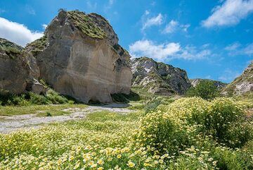 La primavera cubre el valle con prados de margaritas. (Photo: Tom Pfeiffer)