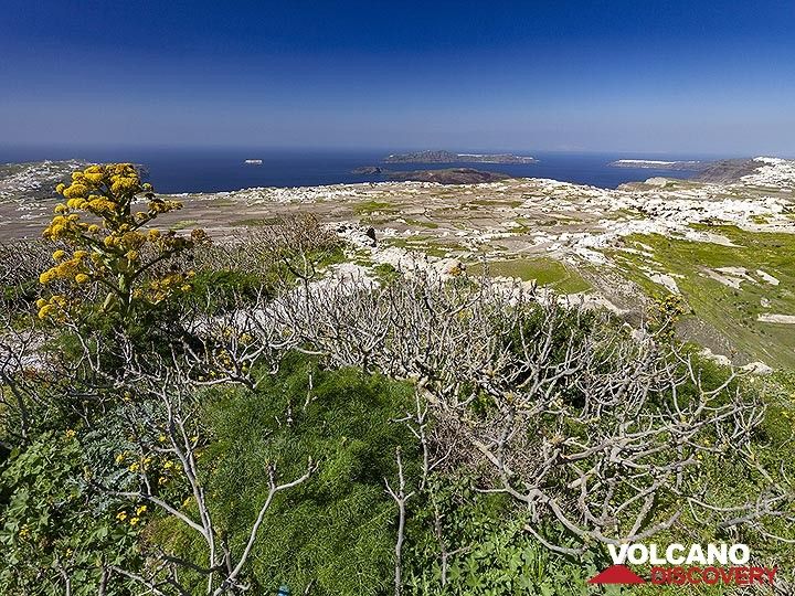 Vue paysage de la caldeira de Santorin depuis le sommet de Profitis Ilias. (Photo: Tobias Schorr)