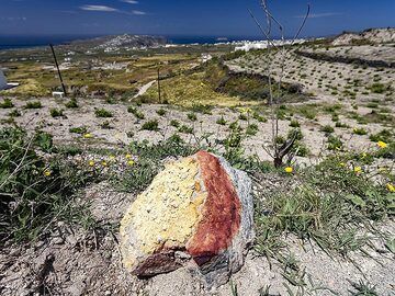 An dacitic rock from a thermal spring inside the caldera. (Photo: Tobias Schorr)