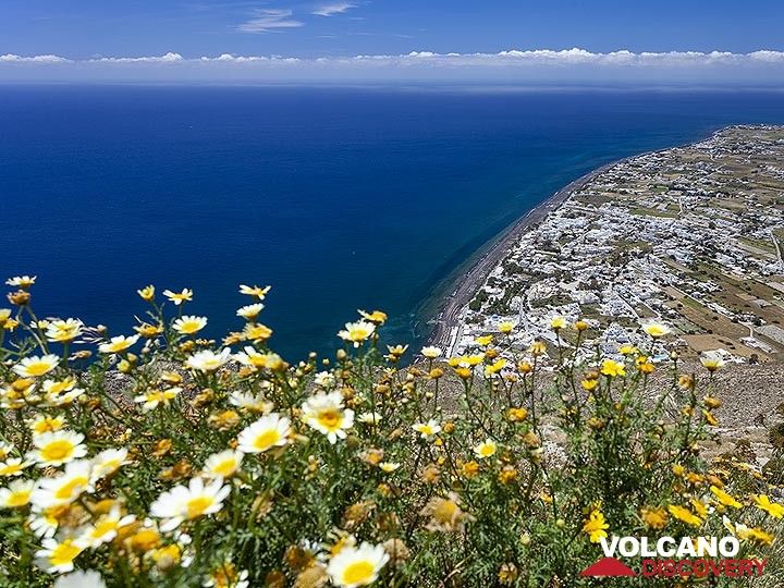 Frühlingsblumen und Blick auf den Strand von Perissa. (Photo: Tobias Schorr)
