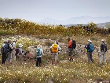 Tom Pfeiffer avec un groupe privé lors des fouilles minoennes du village d'Akrotiri. (Photo: Tobias Schorr)