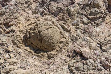 Ancient pillow breccia, suggesting the extrusion took place underwater. (Photo: Tom Pfeiffer)