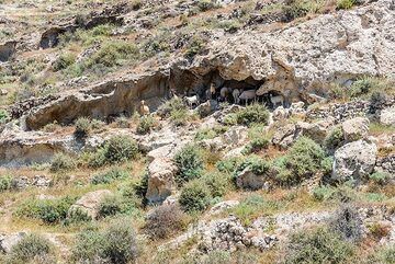 Natural erosion has created many small caves in the sides of the hills, sometimes used as shelters for goats. (Photo: Tom Pfeiffer)