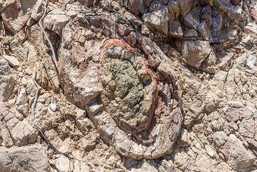 Gros plan d’une ancienne structure de lave en oreiller. (Photo: Tom Pfeiffer)