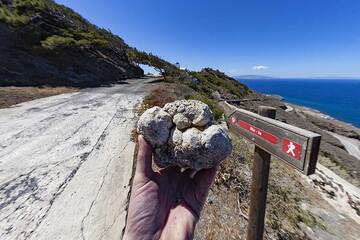 A stromatolithe rock found at the little Profitis Ilias hill. (Photo: Tobias Schorr)