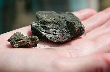 Hoja de oliva en una capa de ceniza de 40.000 años. (Photo: Tom Pfeiffer)