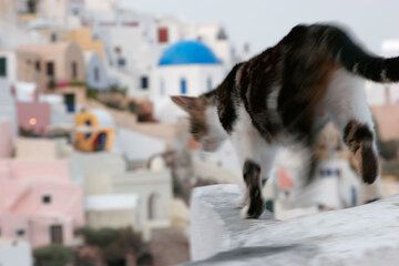 Oia (Photo: Tom Pfeiffer)