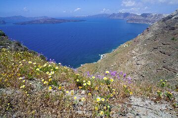 The caldera of Santorini (Photo: Tom Pfeiffer)