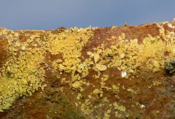 Sulphur crystals from the Georgios crater on Nea Kameni island. (Photo: Tobias Schorr)