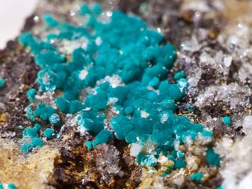 Linarite κρύσταλλοι από Σαντορίνη (Photo: Tobias Schorr)