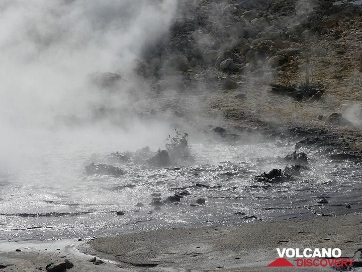 Rund um die ca. 17 km x 20 km große Caldera gibt es etwa 150 Teiche kochenden Schlamms, die die Phlegräischen Felder darstellen, hydrothermale Oberflächenausdrücke des heißen Magmas, das sich noch immer in der Tiefe befindet. (Photo: Ingrid Smet)