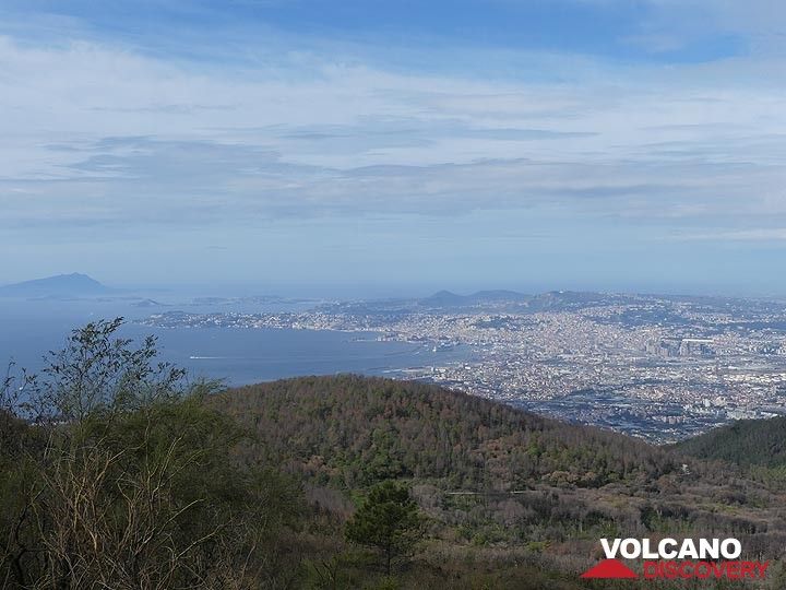 Vue depuis la base du cône Vésuve actuel à l'ouest avec la coulée de lave reboisée de 1944 au premier plan et la ville et la baie de Naples en arrière-plan. (Photo: Ingrid Smet)