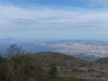 Vue depuis la base du cône Vésuve actuel à l'ouest avec la coulée de lave reboisée de 1944 au premier plan et la ville et la baie de Naples en arrière-plan. (Photo: Ingrid Smet)