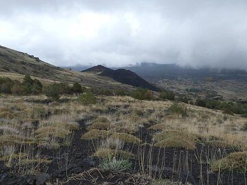 The next morning we took the early boat from Stromboli to Milazzo and from there a private transfer to our hotel on the slopes of Mt Etna at about 2000 masl. (Photo: Ingrid Smet)