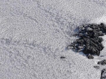 The fresh snow is already covered with a thing layer of volcanic ash, showing that Mt Etna is rather active. (Photo: Ingrid Smet)