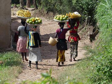 Day 2 - Rwandan women carrying the harvest from the fields to a local market (Photo: Ingrid Smet)
