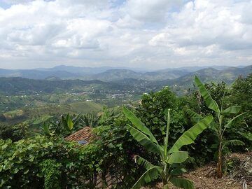 Day 2 - Hilly scenery of western Rwanda  (Photo: Ingrid Smet)