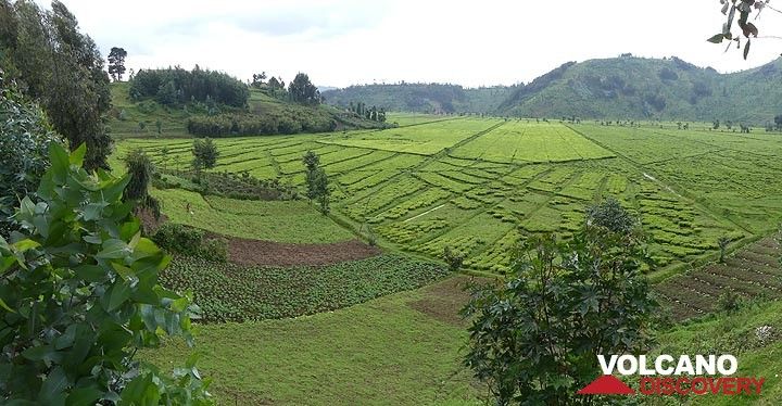 Jour 2 - Paysage cultivé typique du Rwanda (Photo: Ingrid Smet)