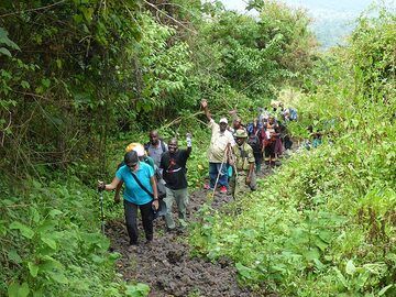 Day 3 - the second part of the hike (ca 2250 - 2500 m asl) is less shaded and over loose volcanic deposits (Photo: Ingrid Smet)