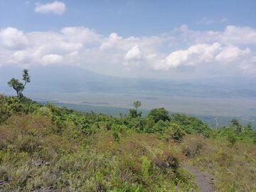 Day 3 - View from Nyiragongo´s lower flank to the flat rift valley and beyond the hills of Rwanda and Karisimbi volcano (left) (Photo: Ingrid Smet)