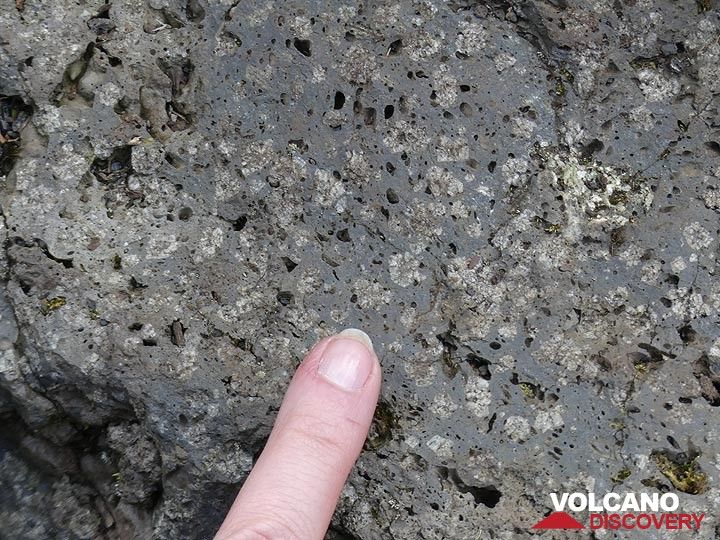 Jour 3 - De nombreuses laves du Nyiragongo présentent des amas radiaux de cristaux prismatiques blancs de néphéline, un minéral typique des magmas sous-saturés en silice. (Photo: Ingrid Smet)