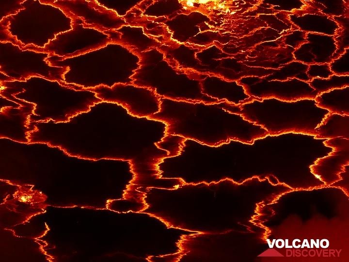 Day 3 - Pattern of the cracked thin crust on above the glowing hot lava (Photo: Ingrid Smet)
