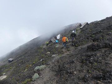 Day 4 - Hiking back from the morning observation point to the summit campsite (Photo: Ingrid Smet)