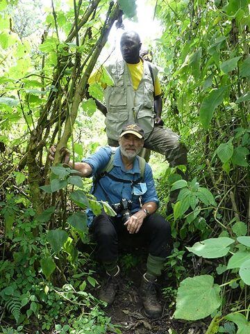 day 7 - ...before we reached the edge of the Virunga National Park from where we spent another hour tracking the gorillas through the local rain forest... (Photo: Ingrid Smet)